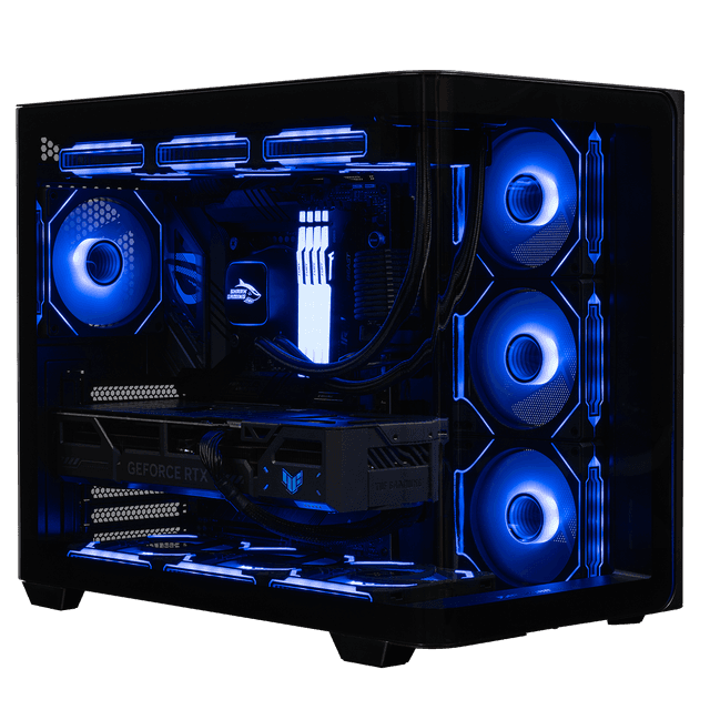 Shark Brutality Speldator